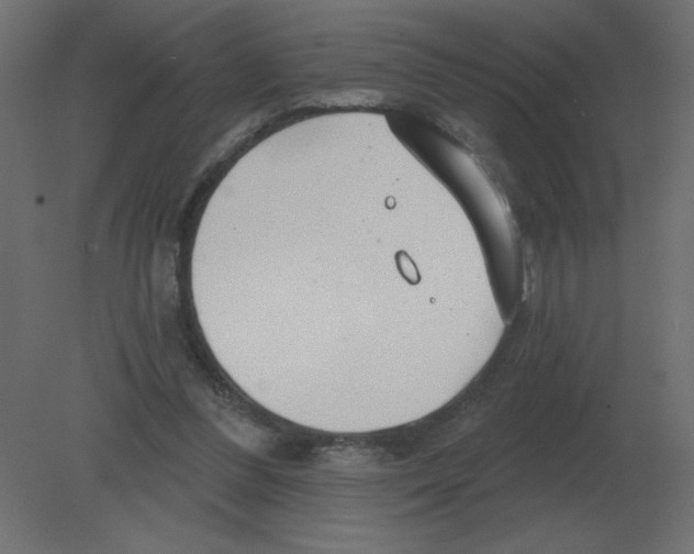 X0000080790300200701122155