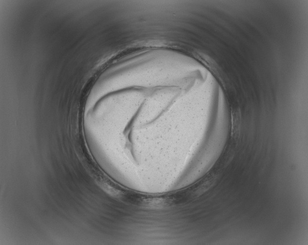 X0000080790301200701122155