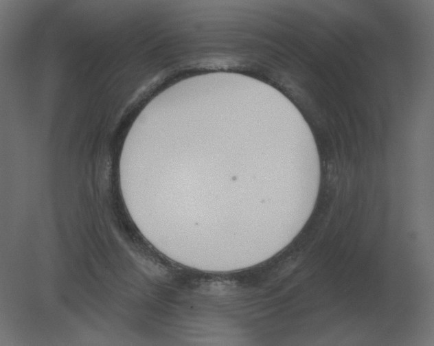 X0000080790304200701122155