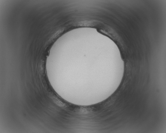 X0000080790305200701122155