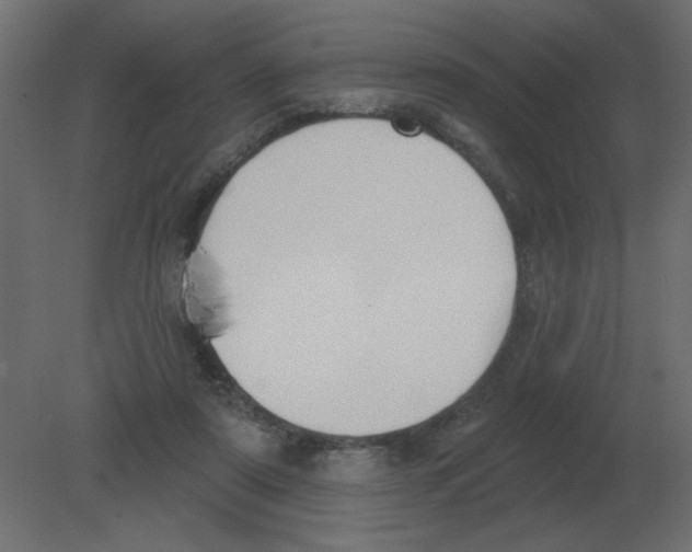 X0000080790307200701122155