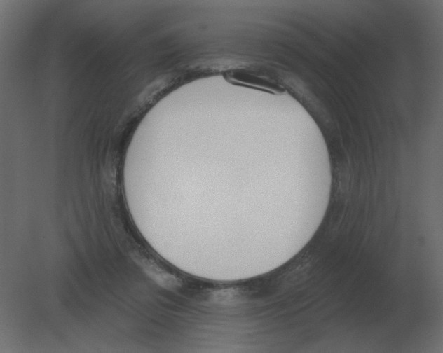 X0000080790309200701122155