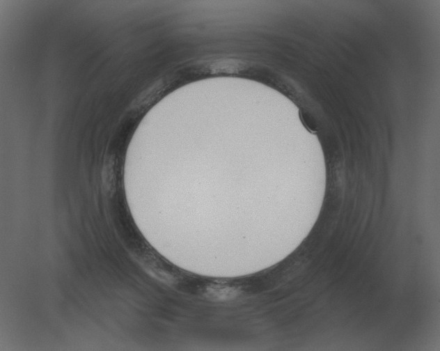 X0000080790311200701122155