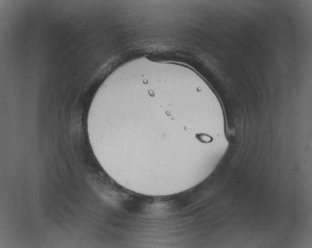 X0000080790312200701122154