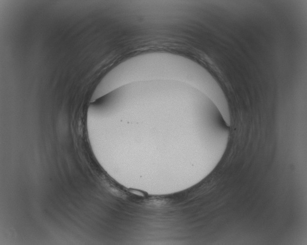 X0000080790313200701122154