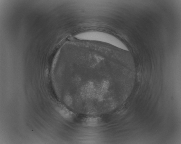 X0000080790314200701122154