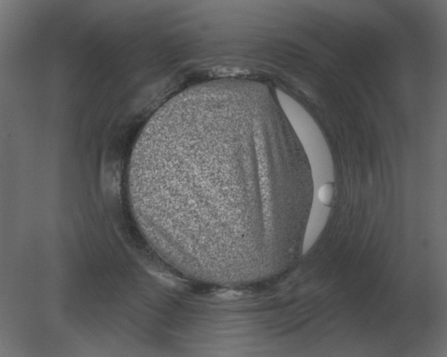 X0000080790315200701122154