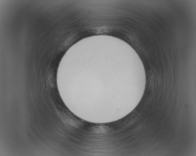 X0000080790316200701122154