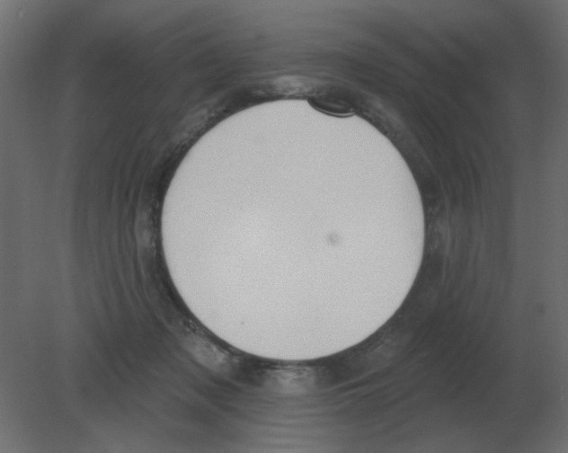 X0000080790317200701122154