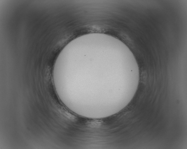 X0000080790318200701122154