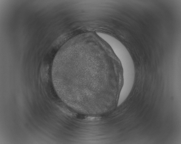 X0000080790319200701122154