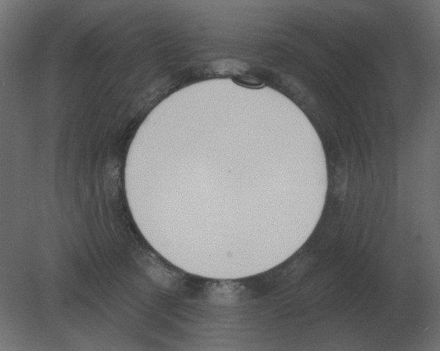 X0000080790321200701122154