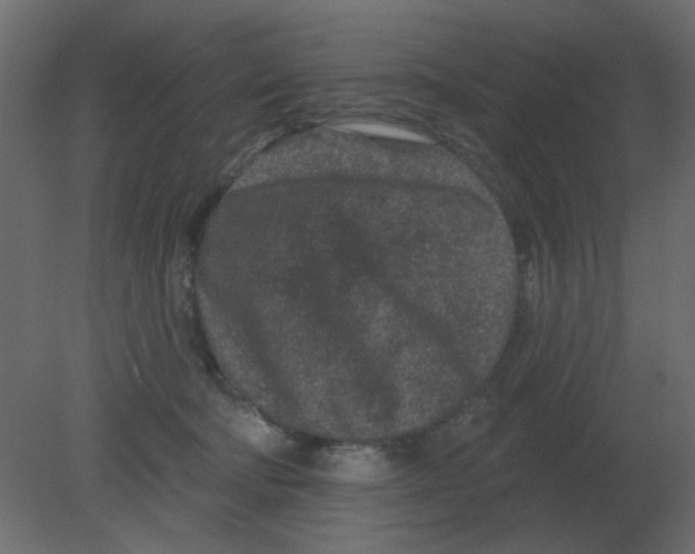 X0000080790322200701122154