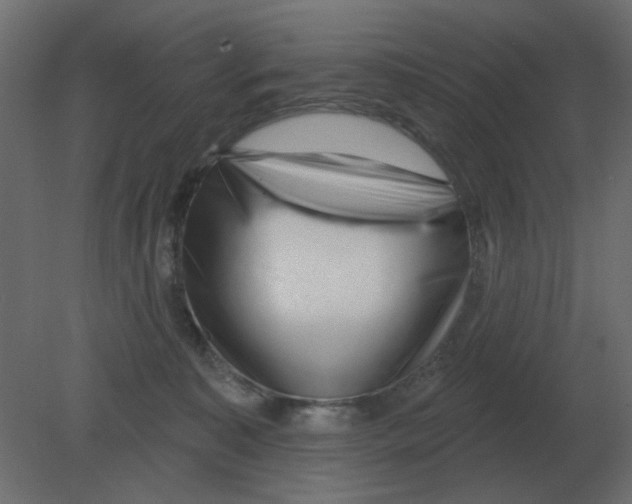 X0000080790323200701122154