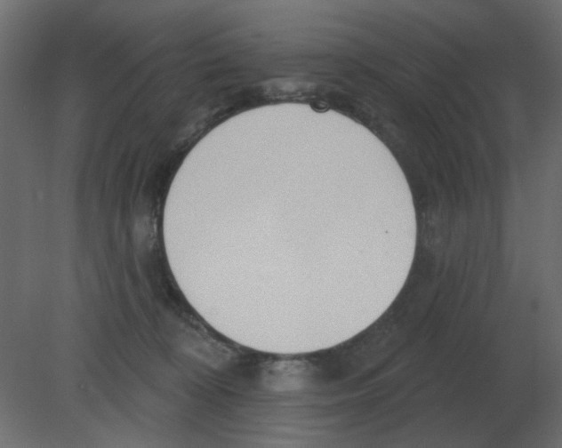 X0000080790324200701122154