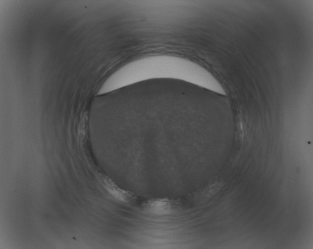 X0000080790325200701122154