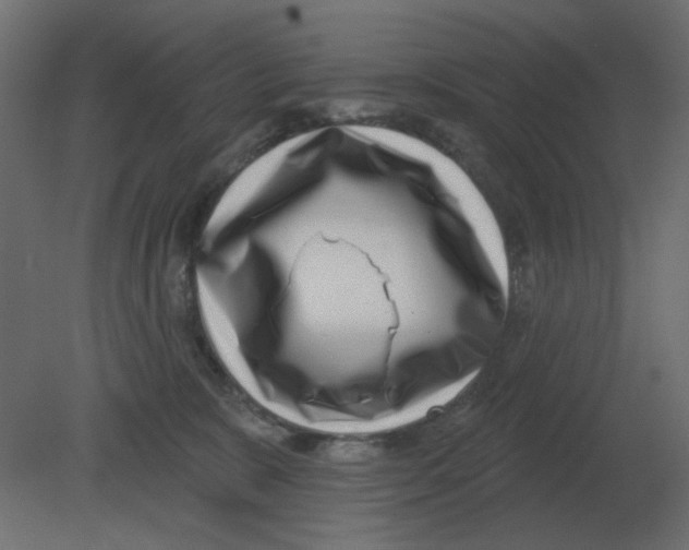 X0000080790327200701122154