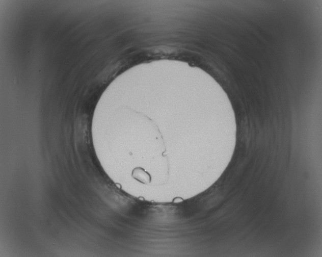 X0000080790328200701122154