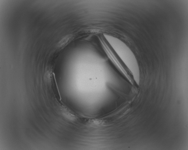 X0000080790329200701122154