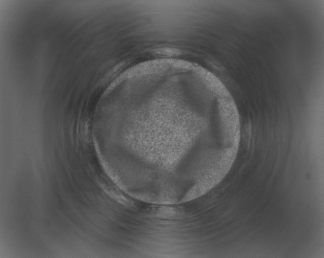 X0000080790330200701122154