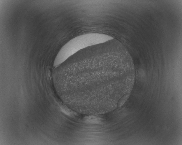 X0000080790331200701122154