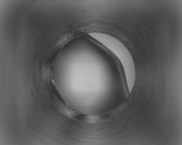 X0000080790333200701122154