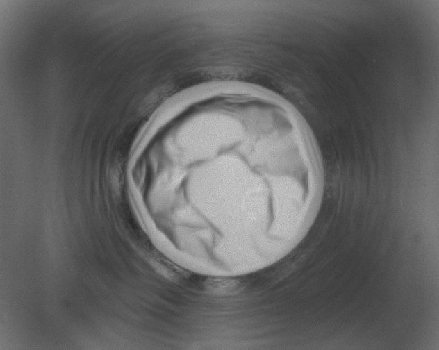 X0000080790334200701122154