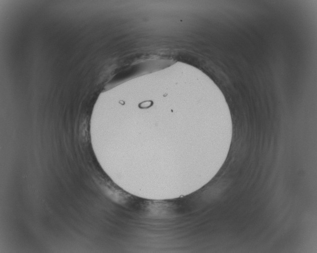 X0000080790336200701122154