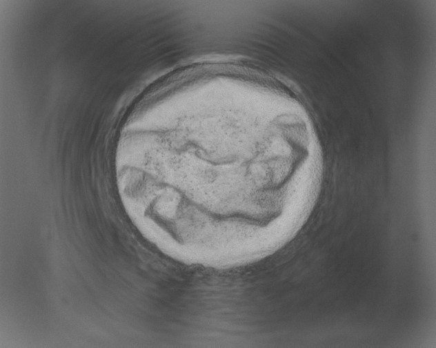 X0000080790337200701122153