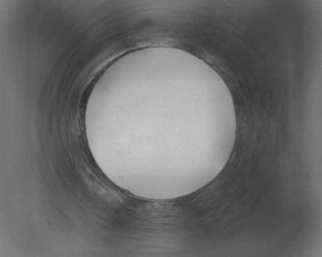 X0000080790338200701122153