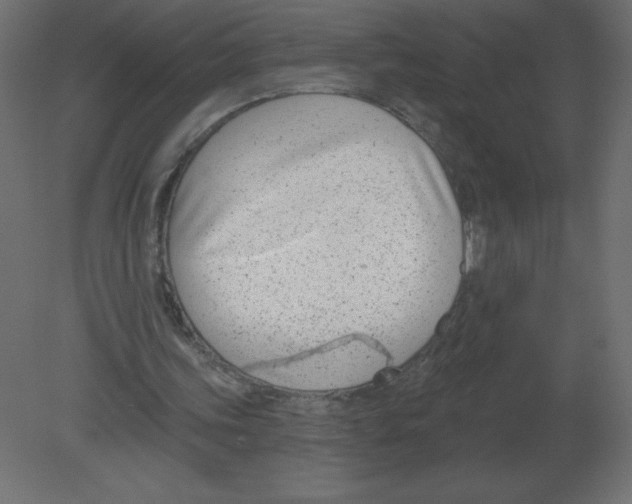 X0000080790339200701122153