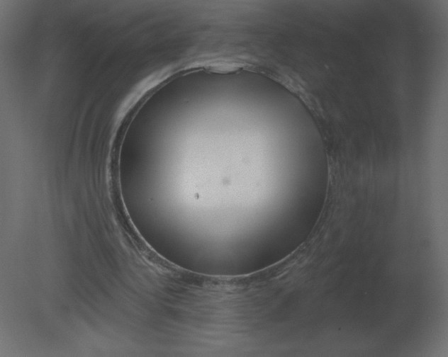 X0000080790340200701122153