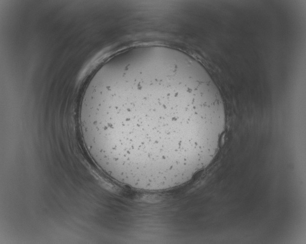 X0000080790341200701122153