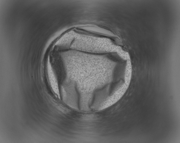 X0000080790342200701122153