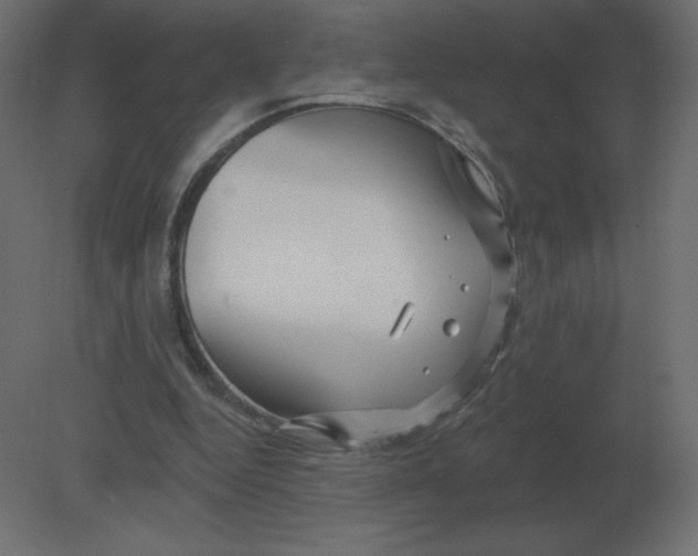 X0000080790344200701122153