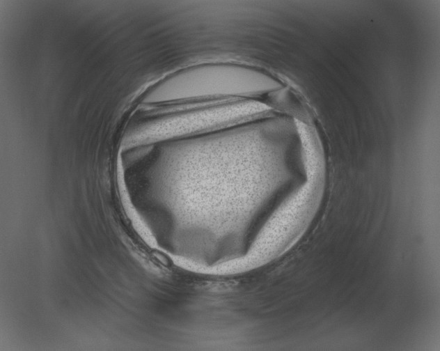 X0000080790345200701122153