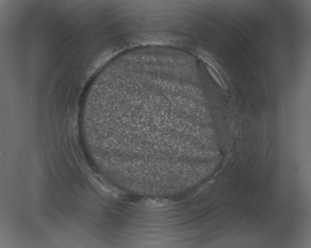 X0000080790346200701122153