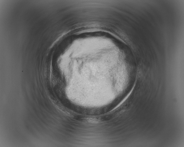 X0000080790347200701122153