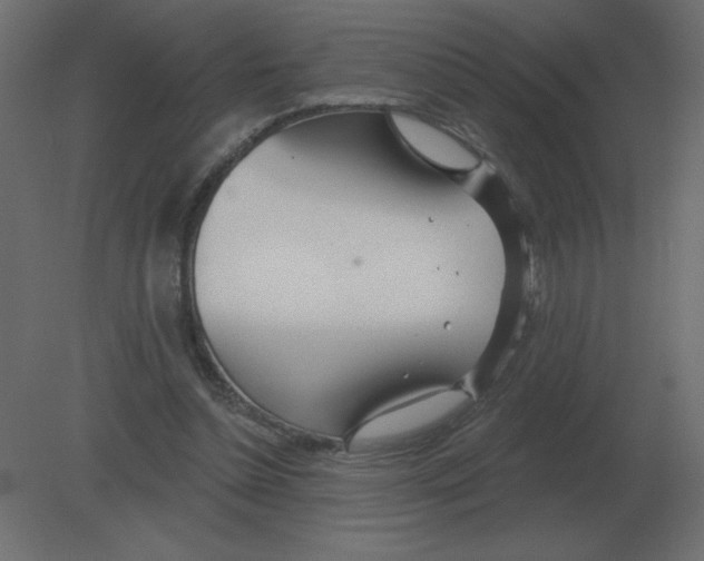 X0000080790348200701122153