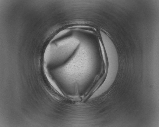 X0000080790350200701122153