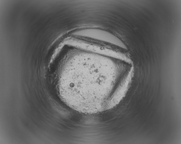 X0000080790351200701122154