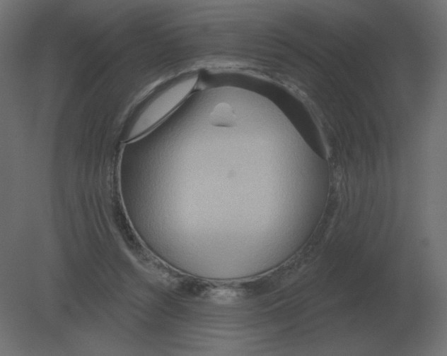 X0000080790352200701122154