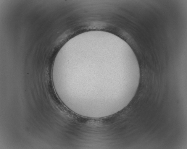 X0000080790354200701122154