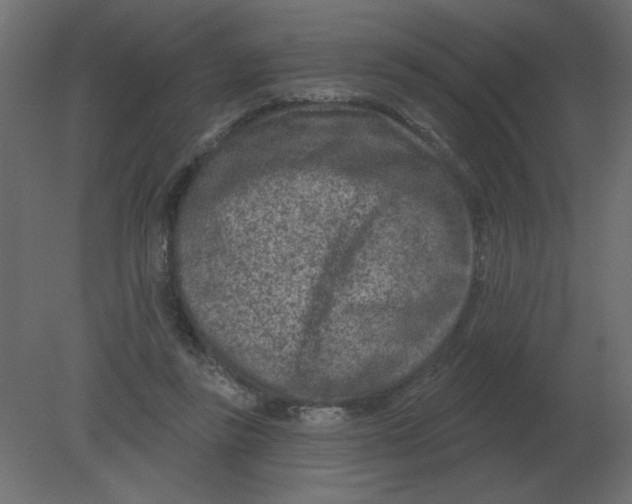 X0000080790355200701122154