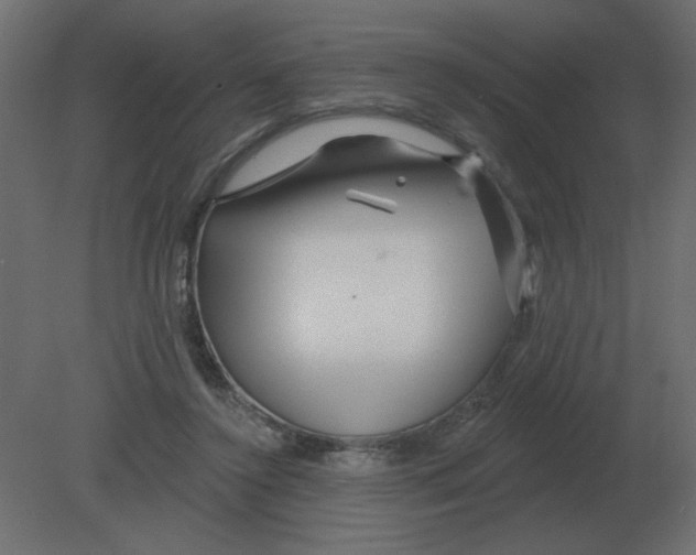 X0000080790356200701122154