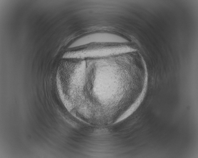 X0000080790357200701122154