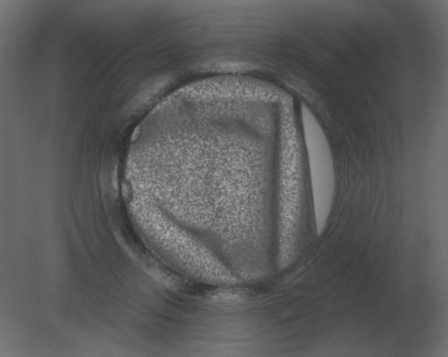 X0000080790358200701122154