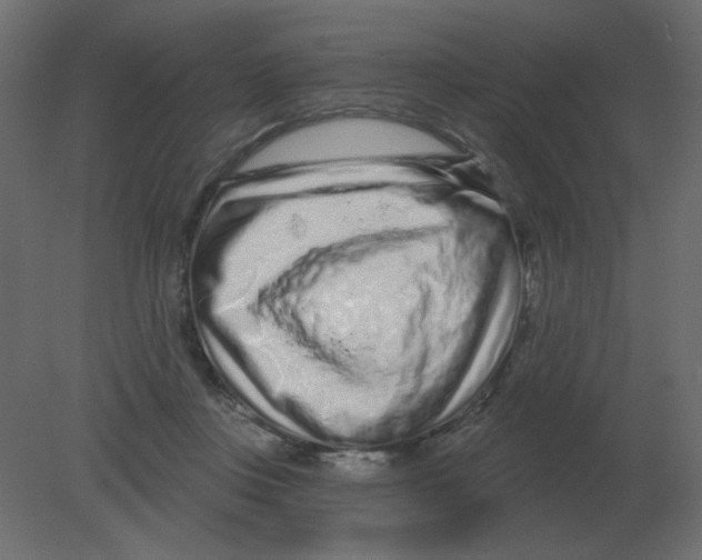 X0000080790359200701122154