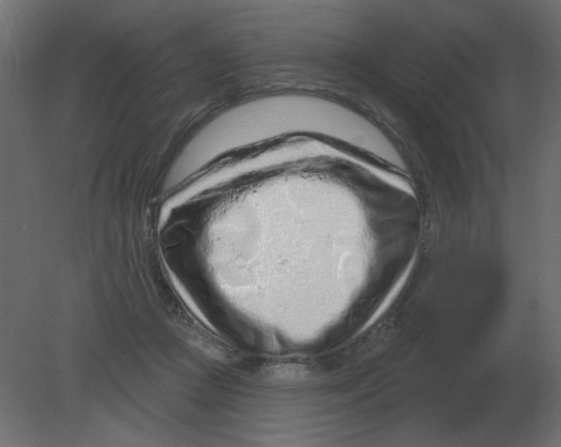 X0000080790361200701122154