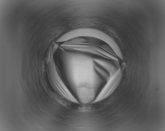 X0000080790362200701122154